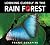 Looking Closely in the Rain Forest
