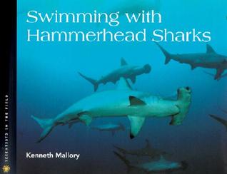 Swimming With Hammerhead Sharks (Scientists in the Field)