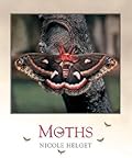 Moths