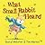 What Small Rabbit Heard