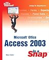Microsoft Office Access 2003: In a Snap