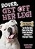 Rover, Get Off Her Leg by Darlene Arden