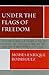 Under the Flags of Freedom: British Mercenaries In The War Of The Two Brothers, The First Carlist War, And The Greek War Of Independence (1821-1840)