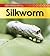 Silkworm (Life Cycle of a)