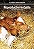 Reproduction in Cattle