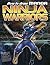 Ninja Warriors