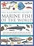 The Illustrated Guide to Ma...