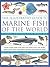 The Illustrated Guide to Marine Fish of The World: A Visual Directory of Sea Life Featuring Over 700 Fabulous Illustrations