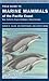 Field Guide to Marine Mammals of the Pacific Coast (Volume 100) (California Natural History Guides)