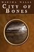 City of Bones