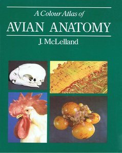 A Colour Atlas of Avian Anatomy (Hardcover)