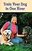 Train Your Dog in One Hour