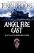 Angel Fire East (Word & Void, #3)