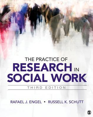 The Practice of Research in Social Work (Paperback)