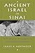 Ancient Israel in Sinai: Th...