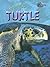 The Life of a Turtle (Perspectives)
