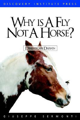 Why is a Fly Not a Horse? (Paperback)