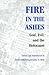 Fire in the Ashes: God, Evil, and the Holocaust (Pastora Goldner Series)