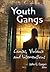 Youth Gangs
