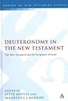 Deuteronomy in the New Testament: The New Testament and the Scriptures of Israel (The Library of New Testament Studies)