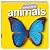 Baby's First Animals by Hinkler Books PTY Ltd