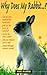 Why Does My Rabbit . . . ?