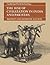 The Rise of Civilization in India and Pakistan by Bridget Allchin