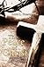 The Peace of Christ: Surpas...