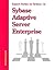 Sybase Adaptive Server Enterprise (Expert Series on System 12)