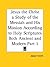 Jesus the Christ a Study of the Messiah and His Mission According to Holy Scriptures Both Ancient and Modern Part 1