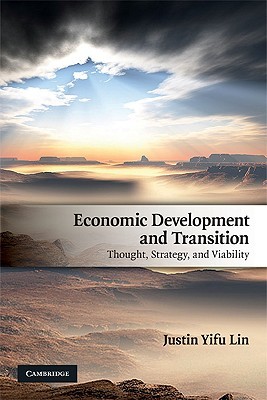 Economic Development and Transition: Thought, Strategy, and Viability (Paperback)