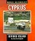 Cyprus: Divided Island (World in Conflict)