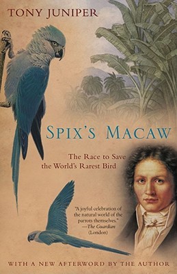 Spix's Macaw: The Race to Save the World's Rarest Bird (Paperback)