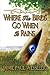 Where The Birds Go When It Rains by Jamie Paul Wesseler