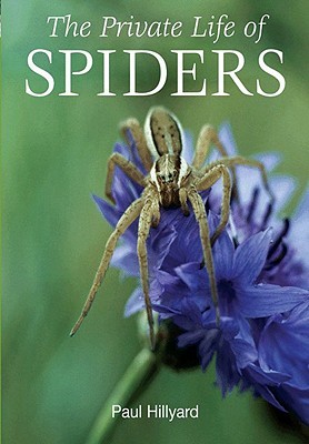 The Private Life of Spiders (Hardcover)