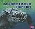Leatherback Turtles