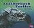 Leatherback Turtles (Reptiles)