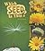 Which Seed Is This? (Nature Starts)