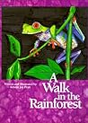A Walk in the Rainforest