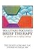 Solution-Focused Brief Therapy: Its Effective Use in Agency Settings (Haworth Marriage and the Family)