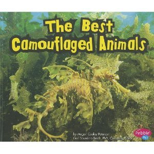 The Best Camouflaged Animals (Extreme Animals)