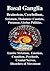 Basal Ganglia, Brainstem, Cerebellum, Striatum, Thalamus: Caudate, Putamen, Globus Pallidus, Limbic Striatum, Cranial Nerves, Parkinson's Disease, ... Disease, Psychosis & Disorders of Movement