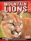 Mountain Lions