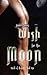 Wish for the Moon by Sandra  Jones
