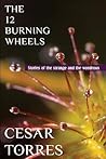 The 12 Burning Wheels
