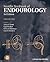 Smith's Textbook of Endourology