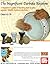 The Magnificient Darbuka Rhythms A beginner's guide