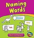 Naming Words: Nouns and Pronouns