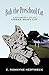 Bob the Preschool Cat: A Biography of an Urban Manx Cat