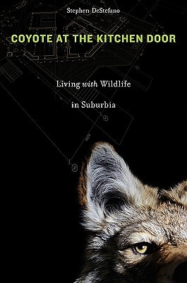 Coyote at the Kitchen Door: Living with Wildlife in Suburbia (Hardcover)